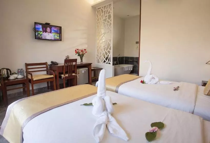 هتل Hoi An Tnt Villa