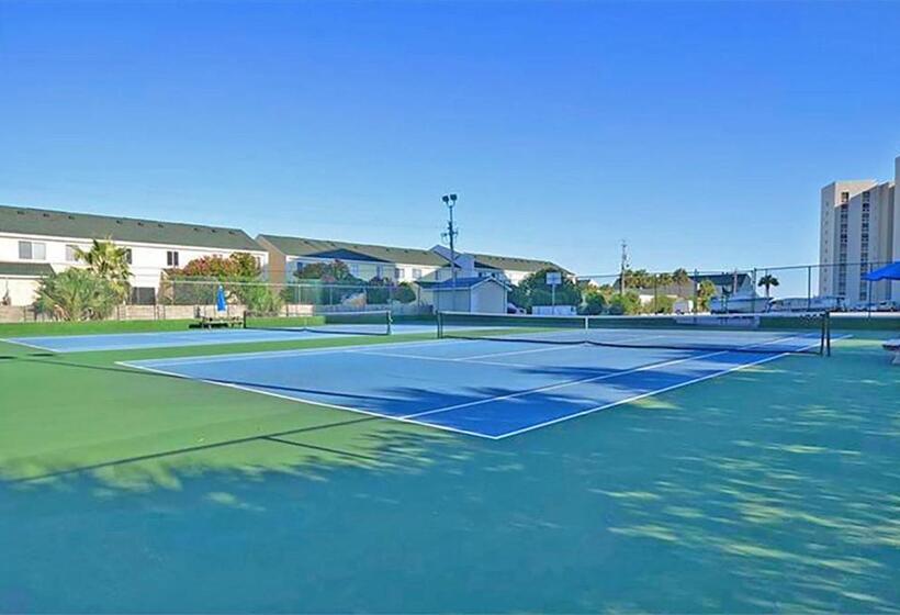 فندق Shoreline Towers 3104