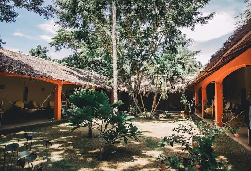 פנסיון Hibiscus Garden Resort