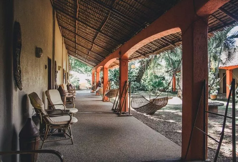 פנסיון Hibiscus Garden Resort