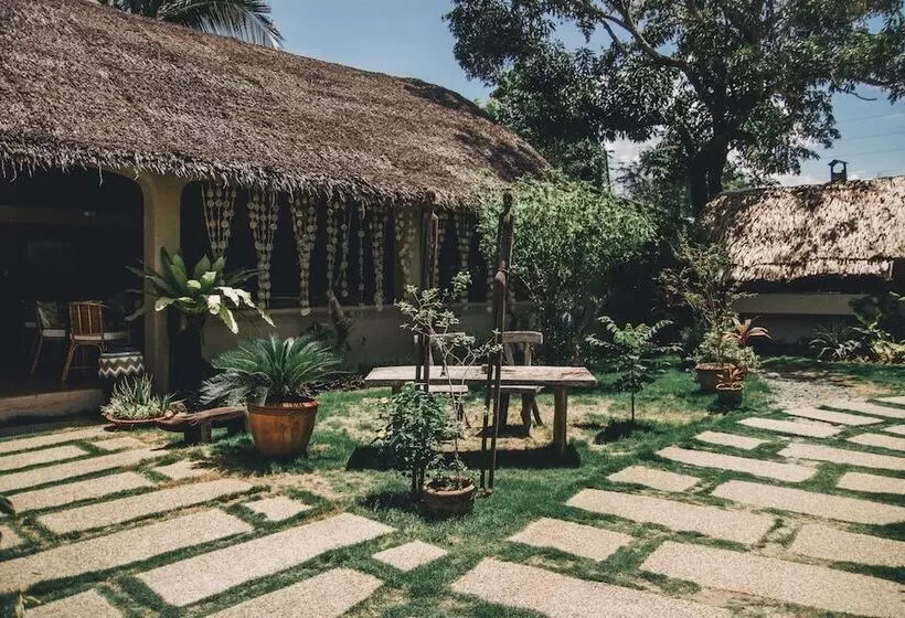 פנסיון Hibiscus Garden Resort