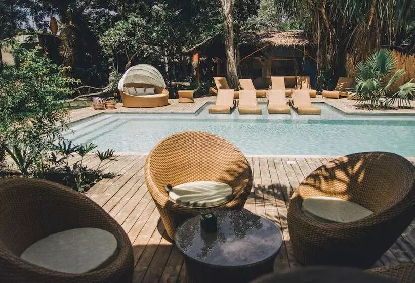 פנסיון Hibiscus Garden Resort