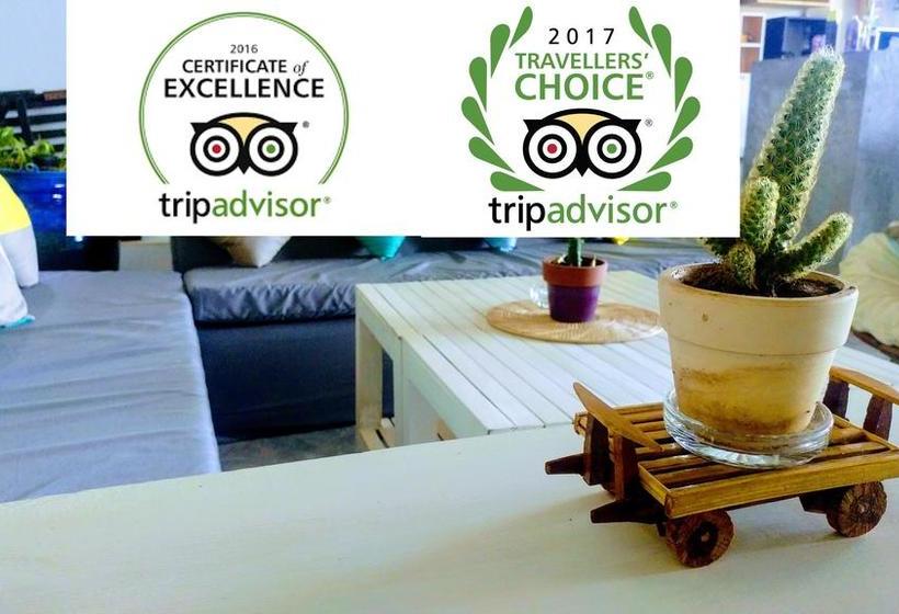 پانسیون The 84