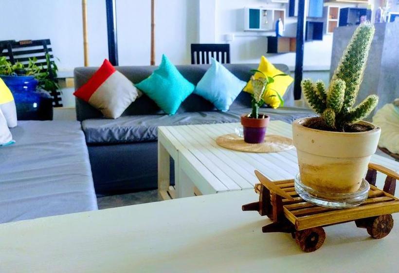 پانسیون The 84