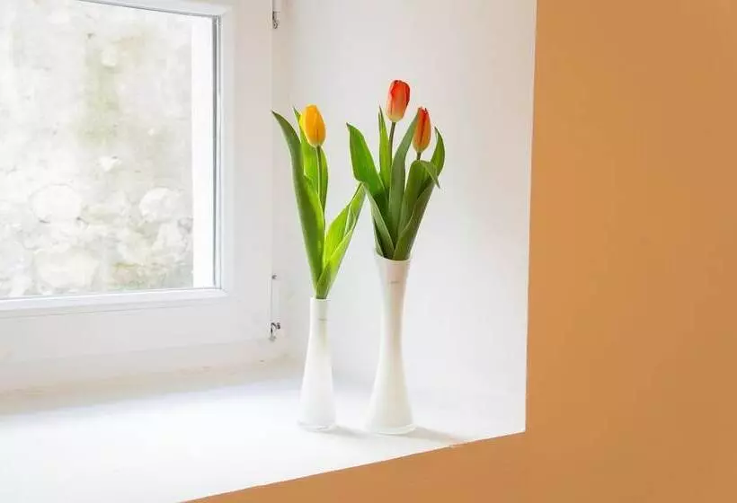 Split Oasis Apartments