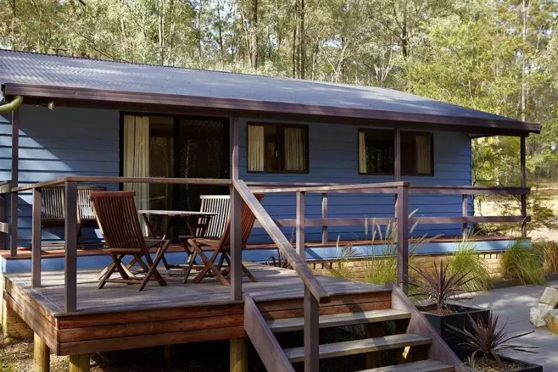 Wild Woods At Pokolbin