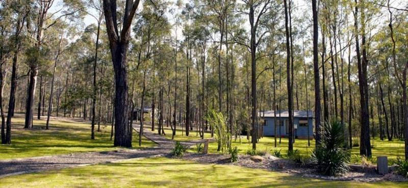 Wild Woods At Pokolbin
