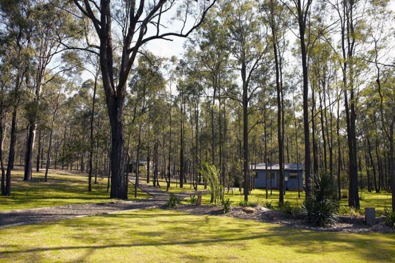 Wild Woods At Pokolbin