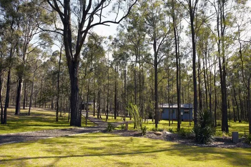 Wild Woods At Pokolbin