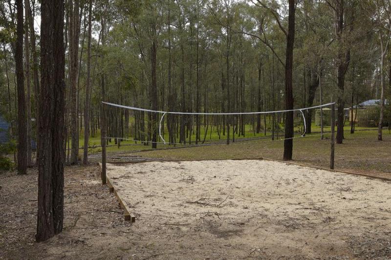 Wild Woods At Pokolbin