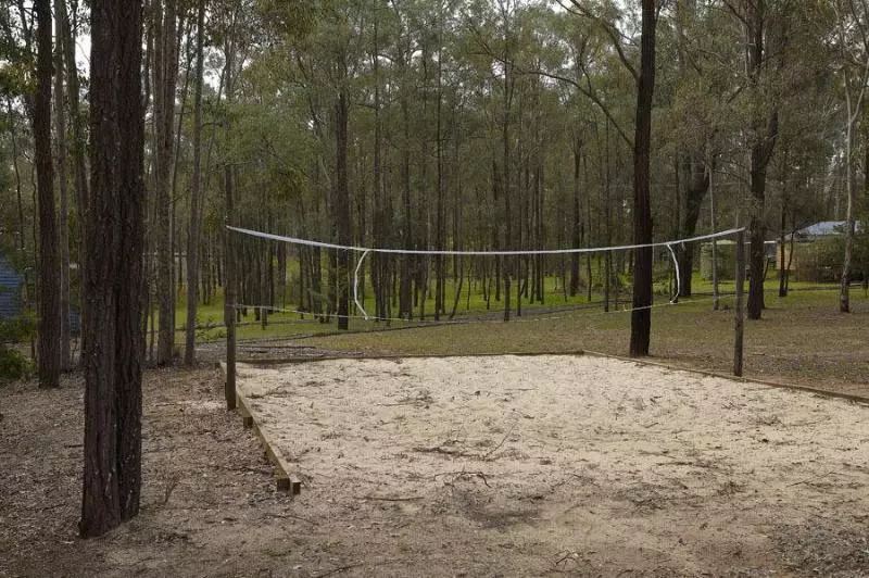 Wild Woods At Pokolbin