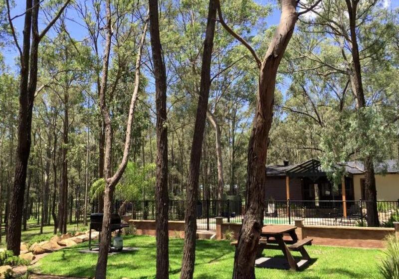 Wild Woods At Pokolbin