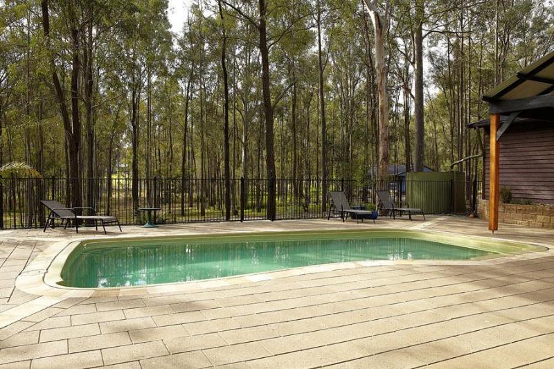 Wild Woods At Pokolbin