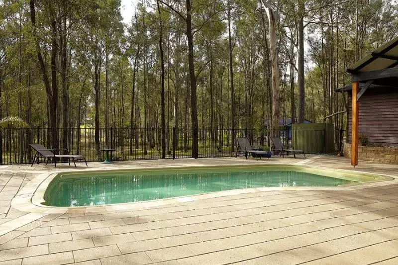 Wild Woods At Pokolbin