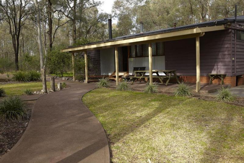 Wild Woods At Pokolbin