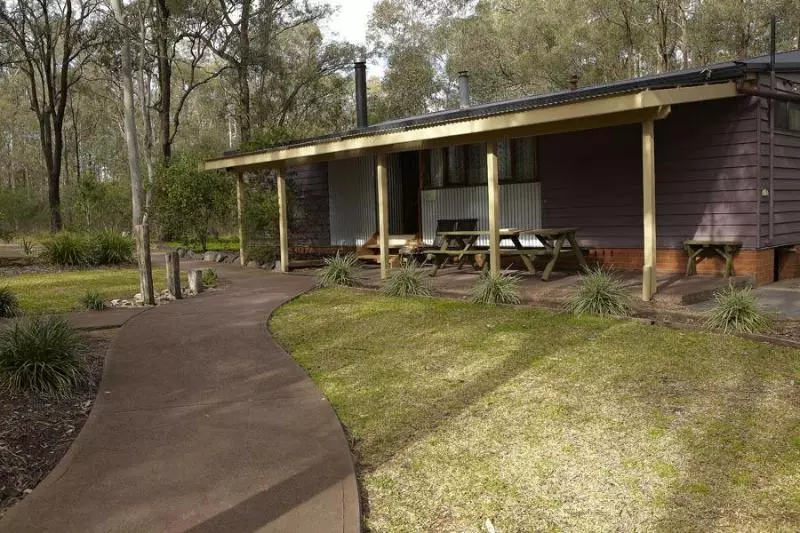 Wild Woods At Pokolbin