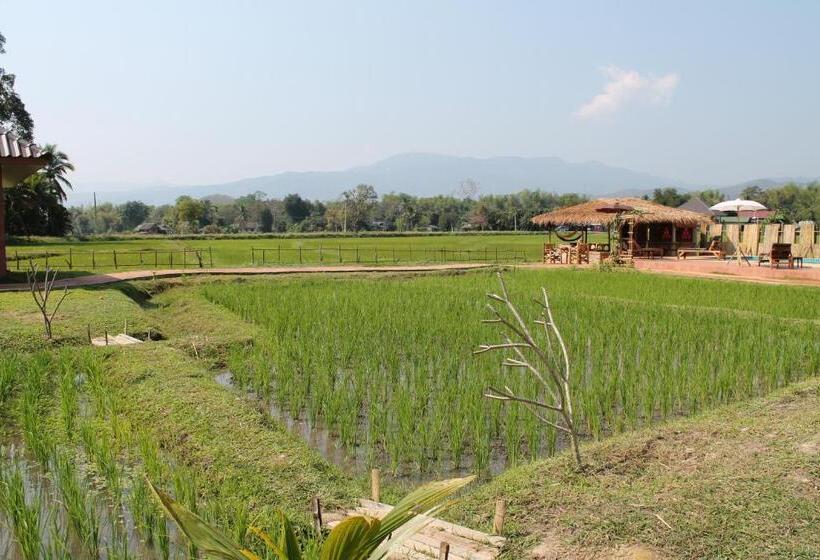 בית מלון כפרי Country Retreat