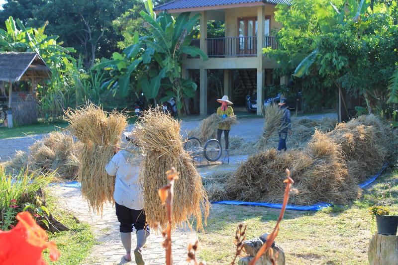 בית מלון כפרי Country Retreat