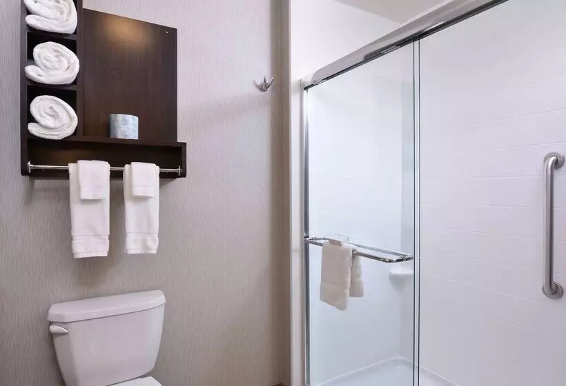 Hotel Homewood Columbia Laurel