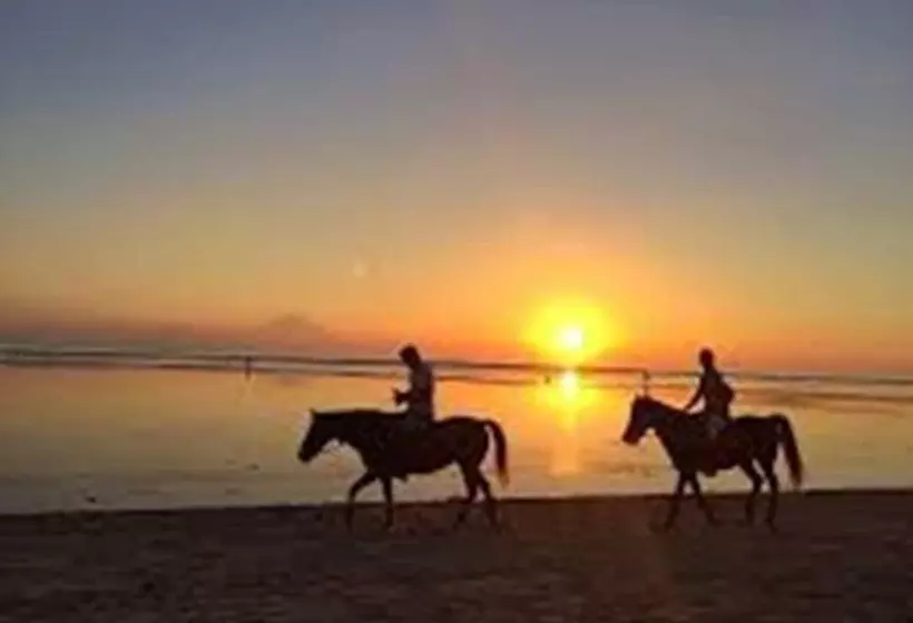 호텔 Padanta Homestay