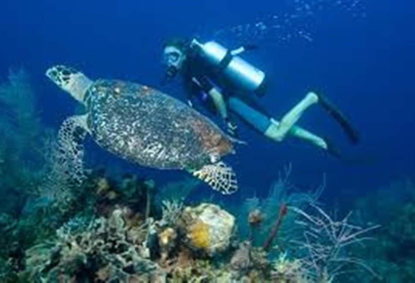 酒店 Padanta Homestay