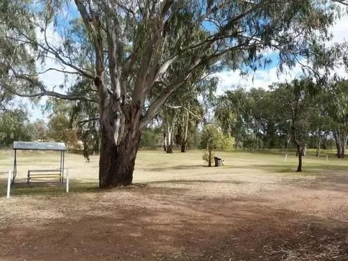 ホテル Narrabri Big Sky Caravan Park
