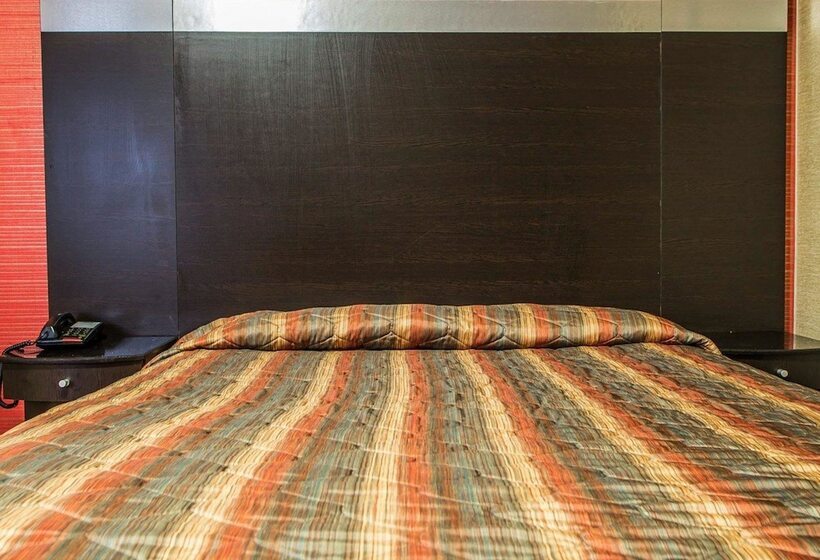 ホテル Rodeway Inn