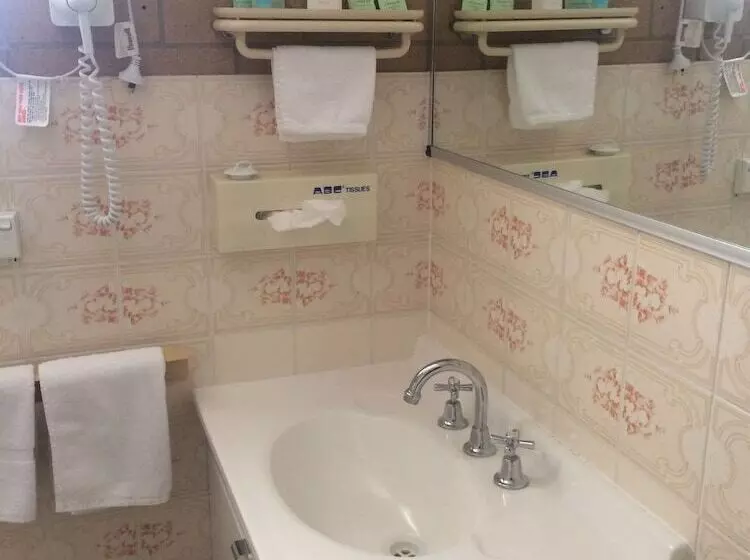 فندق على الطريق Alexander Motor Inn