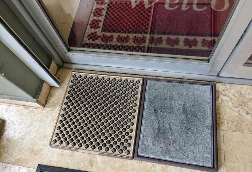 هاستل San Jorge