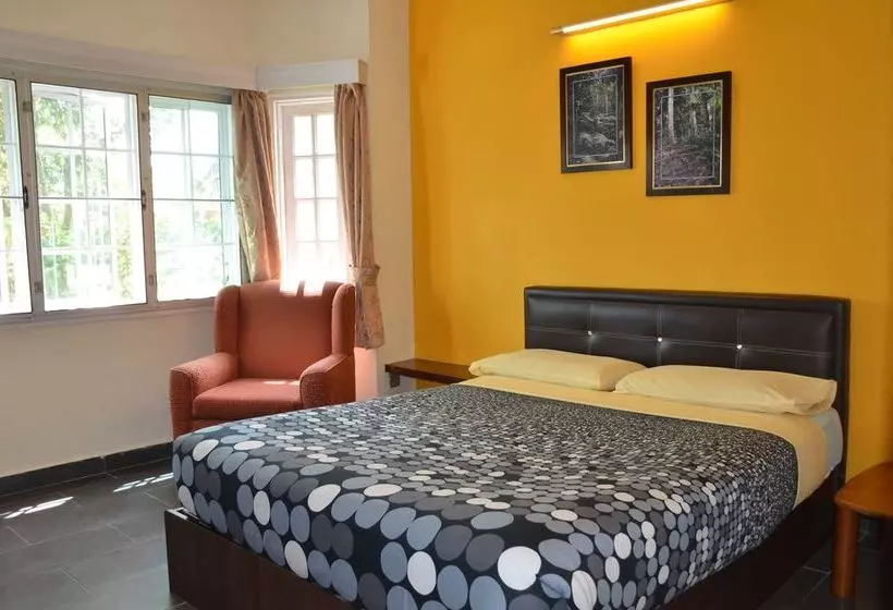 تختخواب و صبحانه Gerard S Place Roomstay