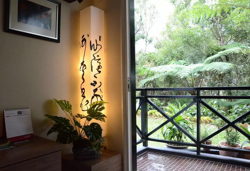 تختخواب و صبحانه Gerard S Place Roomstay