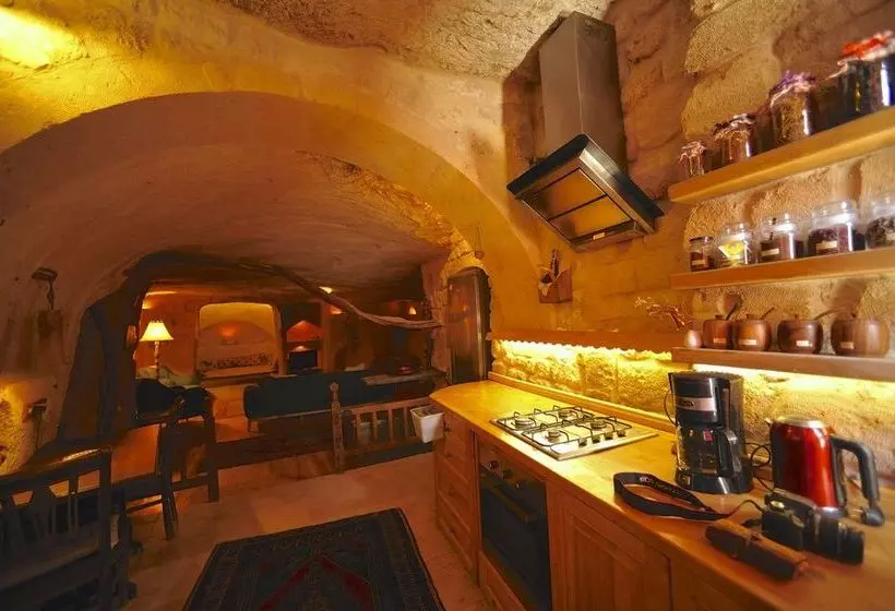 ホテル Anitya Cave House