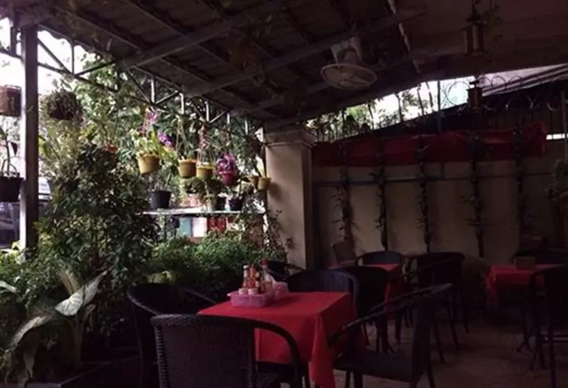 Отель Homeland Guesthouse