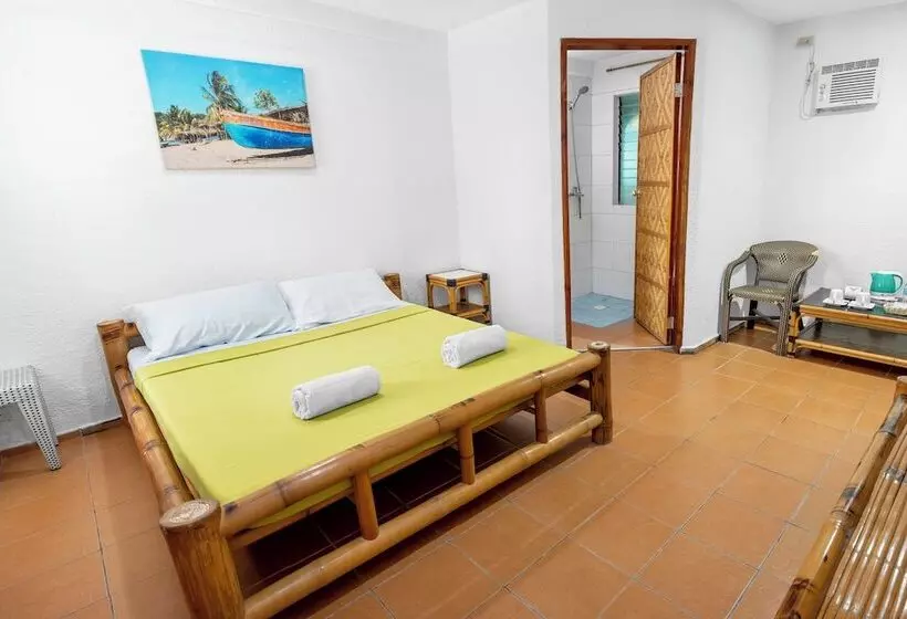 ホテル Panglao Chocolate Hills Resort