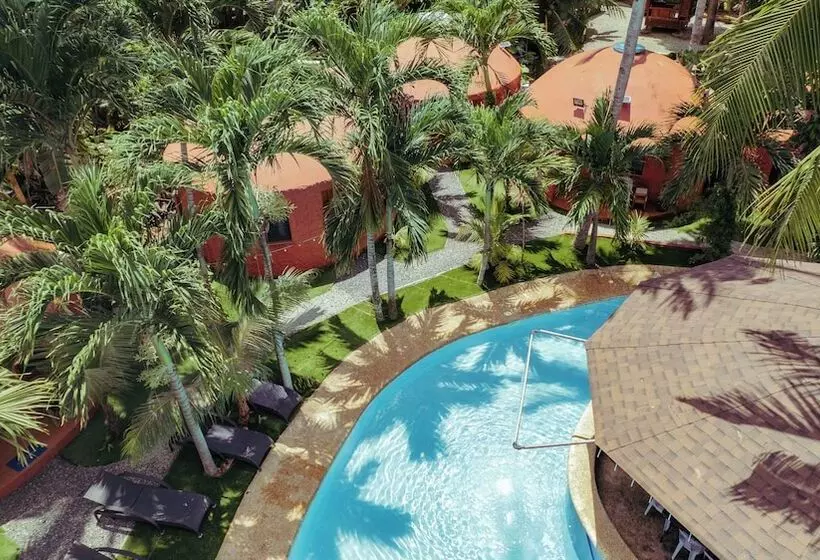 ホテル Panglao Chocolate Hills Resort