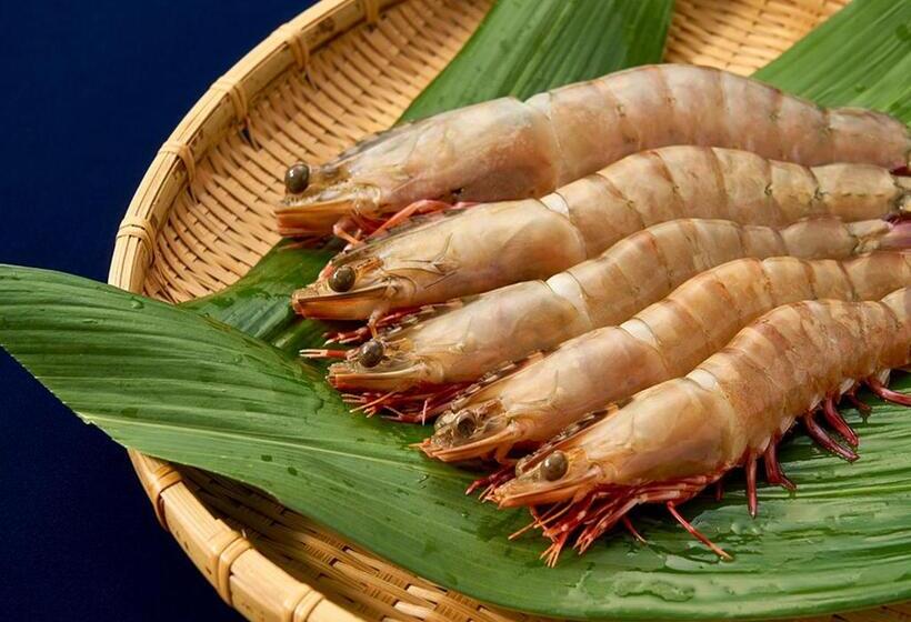 Отель Shinwaka Lodge