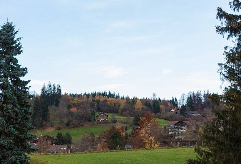 ホテル Vitusfort Doppelzimmer Edinburgh