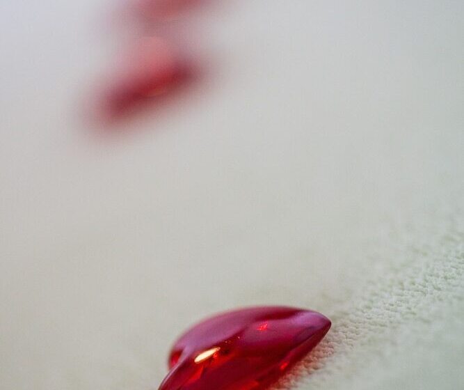 ホテル Vitusfort Doppelzimmer Edinburgh