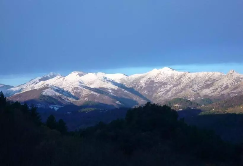 פנסיון L'evidence