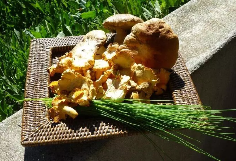 פנסיון L'evidence