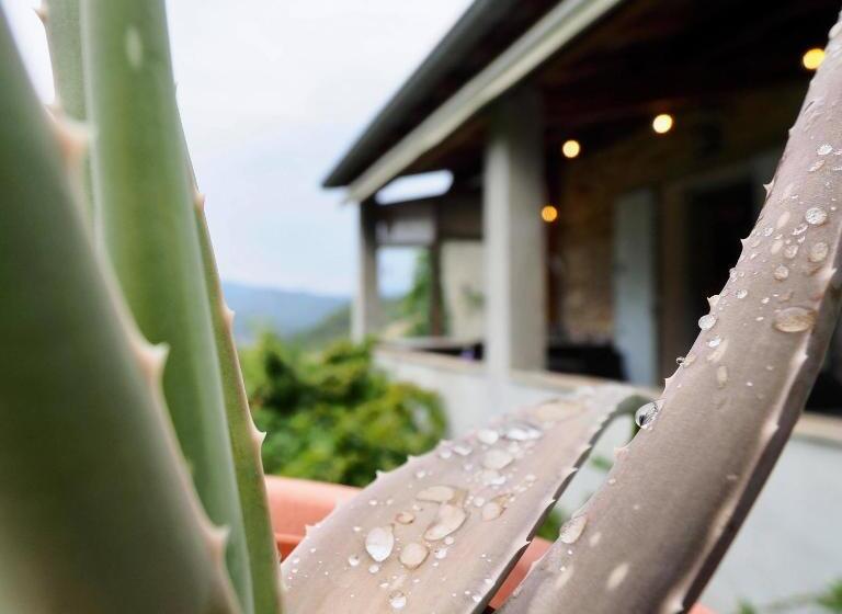 بنسيون L'evidence