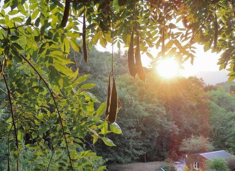 بنسيون L'evidence