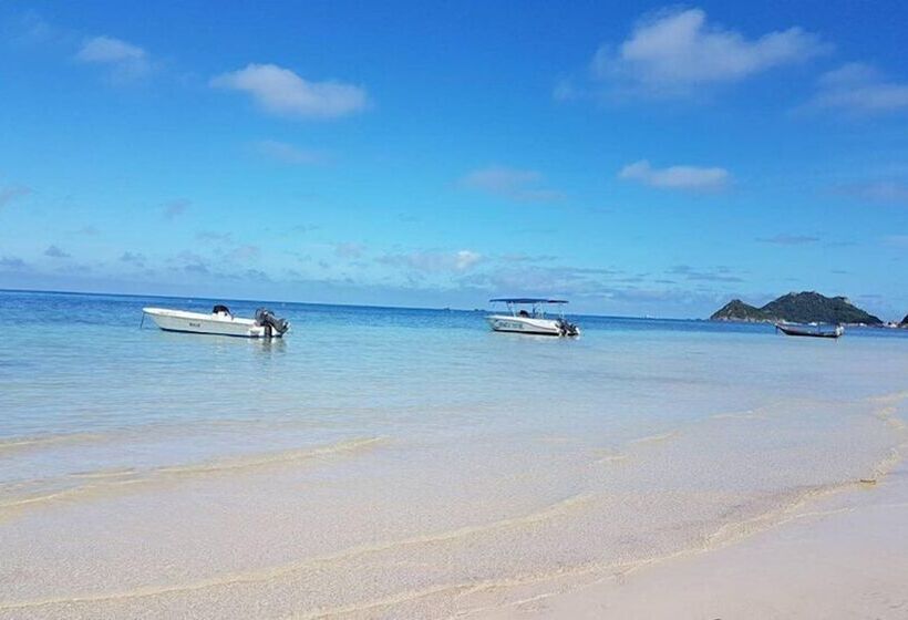 فندق صغير Ban S Avenue Guesthouse