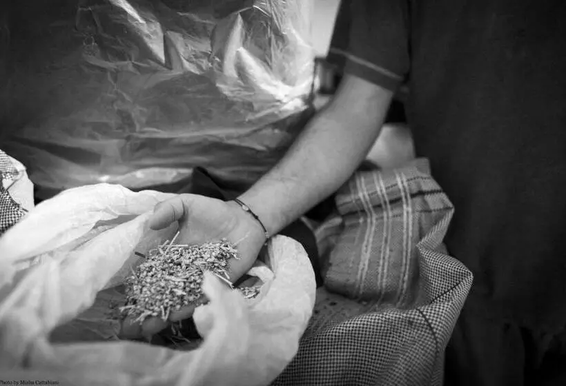 هتل Agriturismo Paradiso41