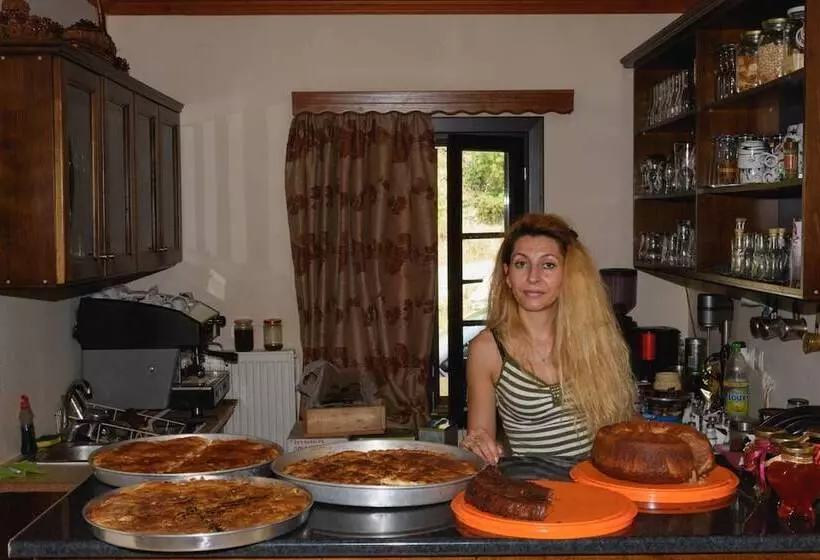 Hotel Balkoni Zagoriou