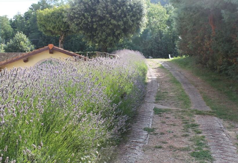 فندق Croce Di Savoia