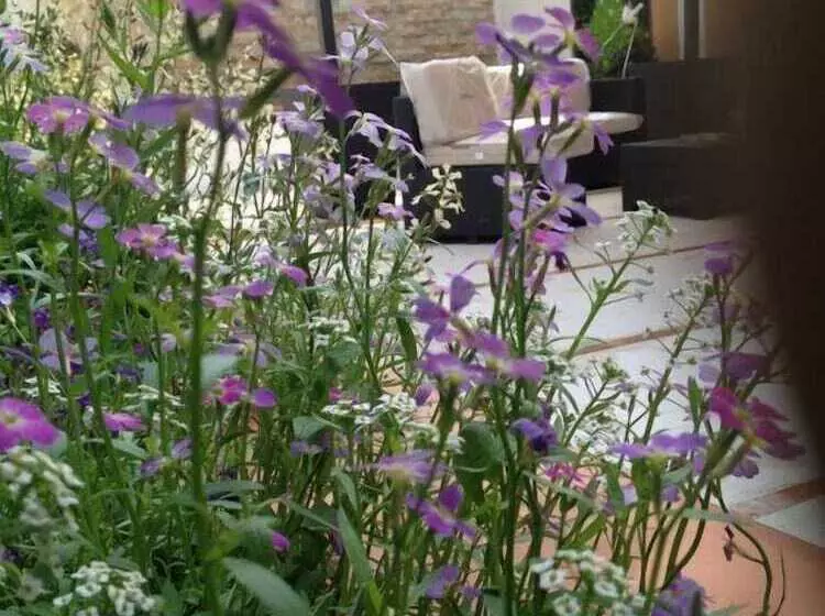 Hotel La Rosetta Scauri