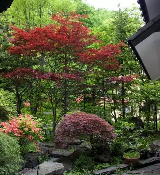 酒店 Oyado Kiyomizuya