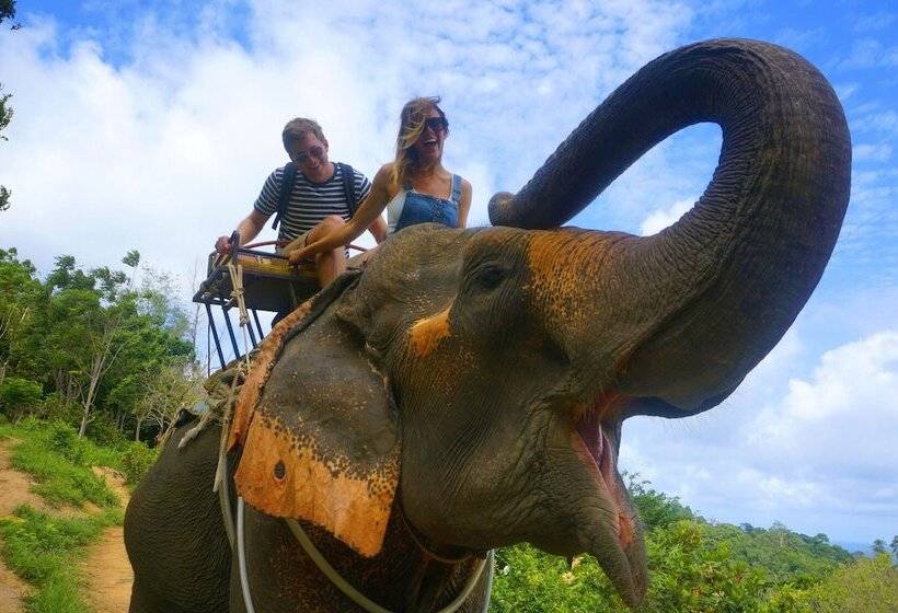 בית מלון כפרי Phutara Lanta Resort   Sha Extra Plus Koh Lanta