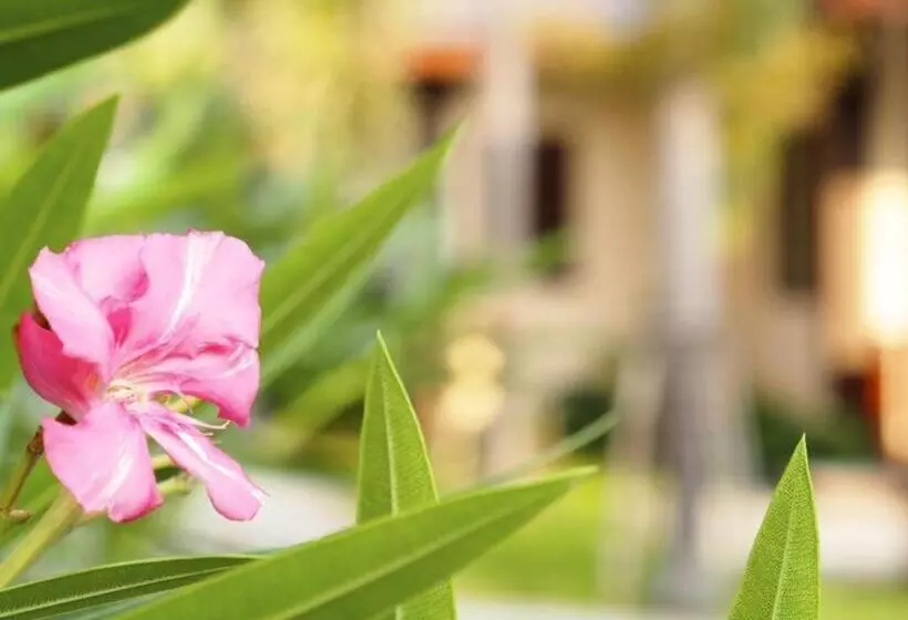 ホテル Rose Bay Resort